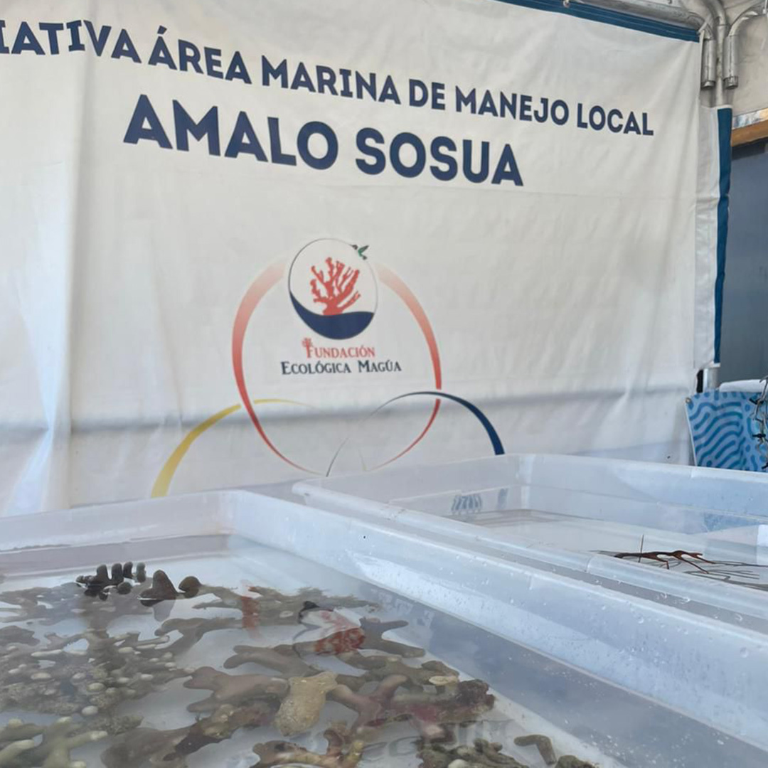 img-ecologiamarina-3