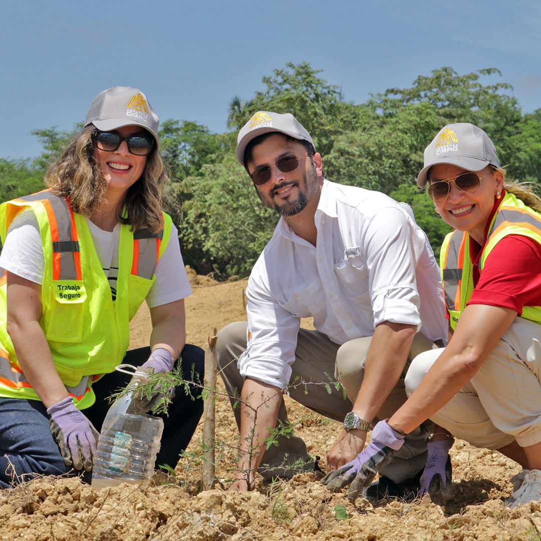 img-reforestacion-1