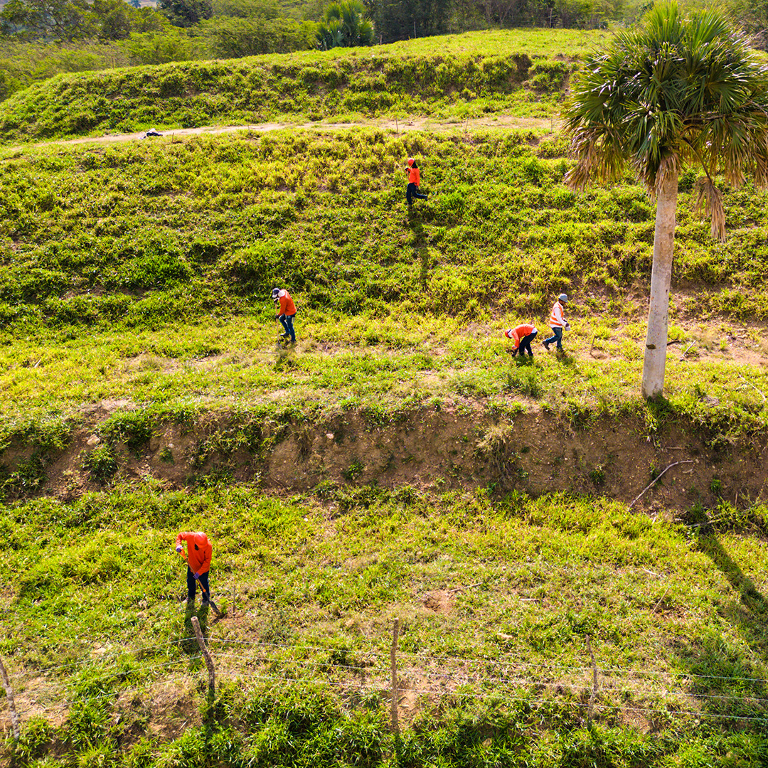 img-reforestacion-2
