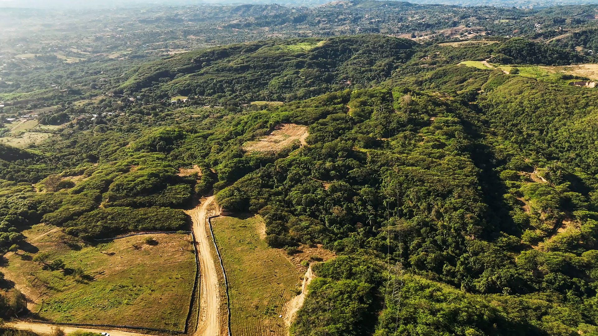 reforestardevolverfuturo-img-cc